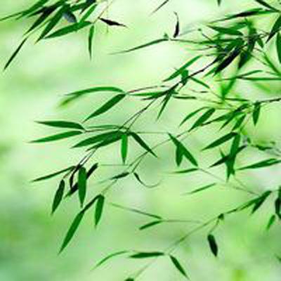 姜子牙狐族现世官方版下载